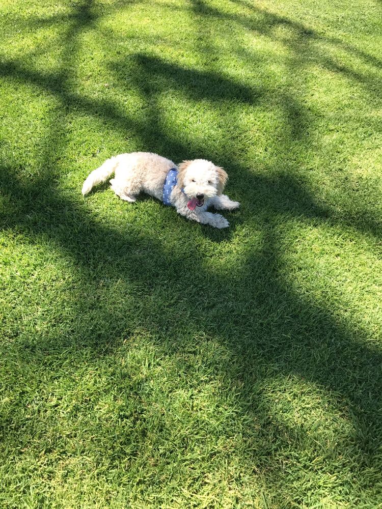 Gridley Park 26 Photos Parks 1983219870 Gridley Rd, Cerritos, CA