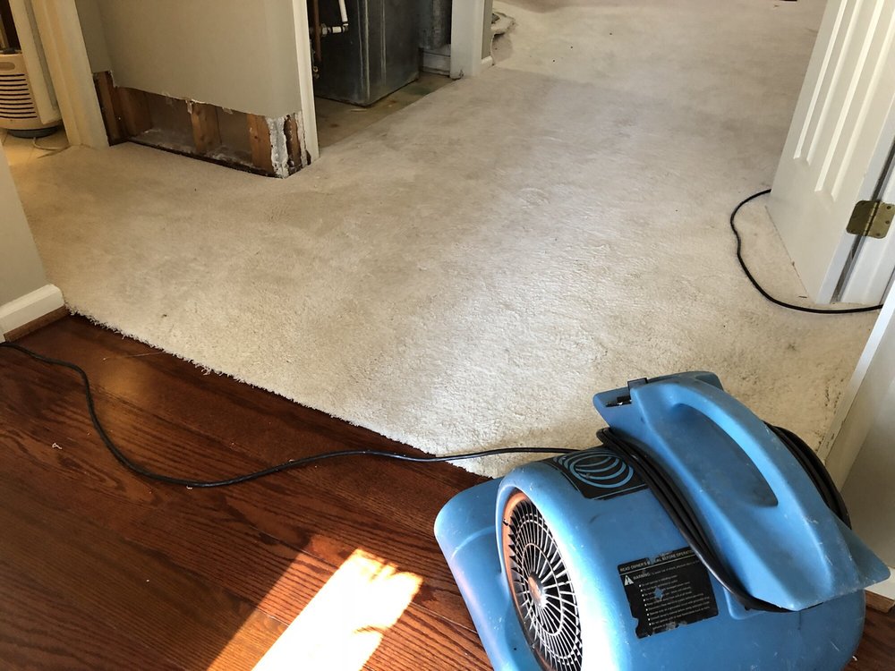 A+ Carpet Cleaning