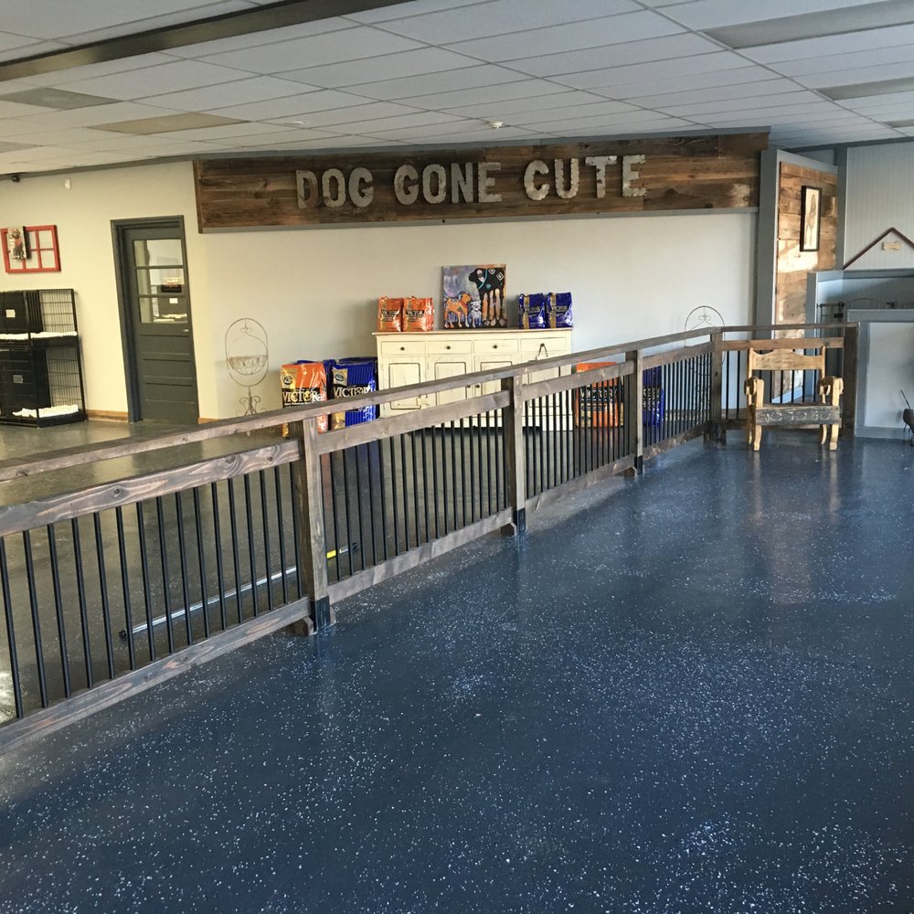 Dog Gone Cute Pet Groomers 3847 Hwy 53, Hoschton, GA Phone Number