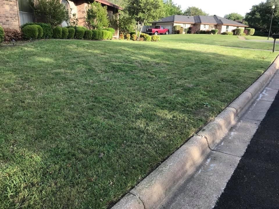 Elite Lawn Care 