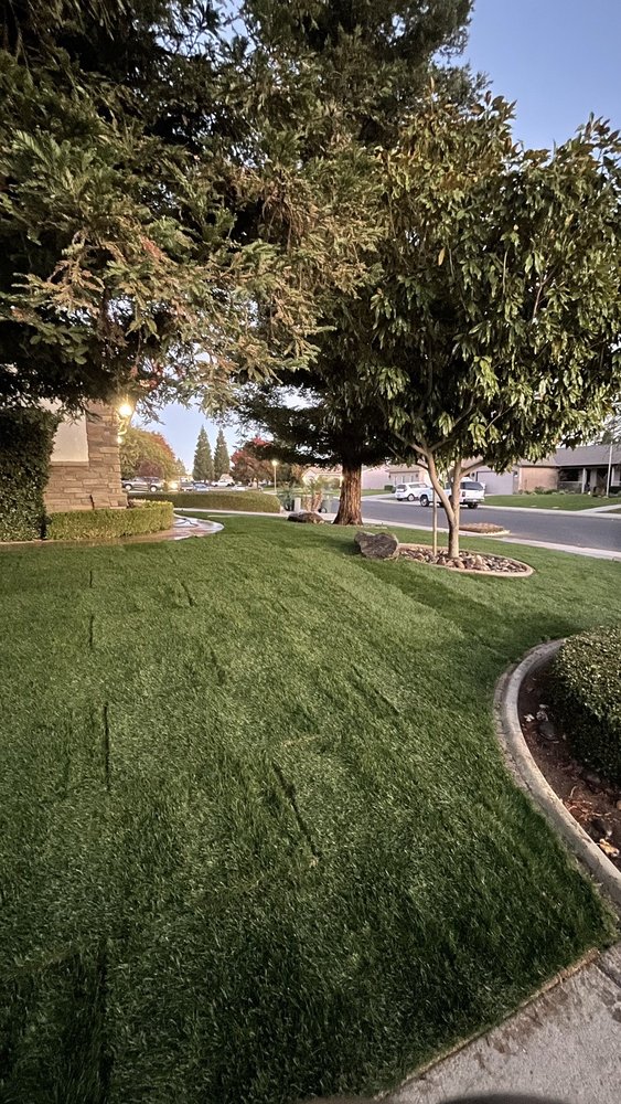 California Green Landscape
