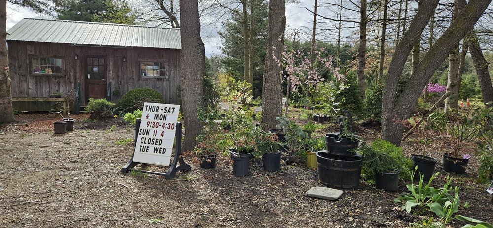 Thee Tree Farm