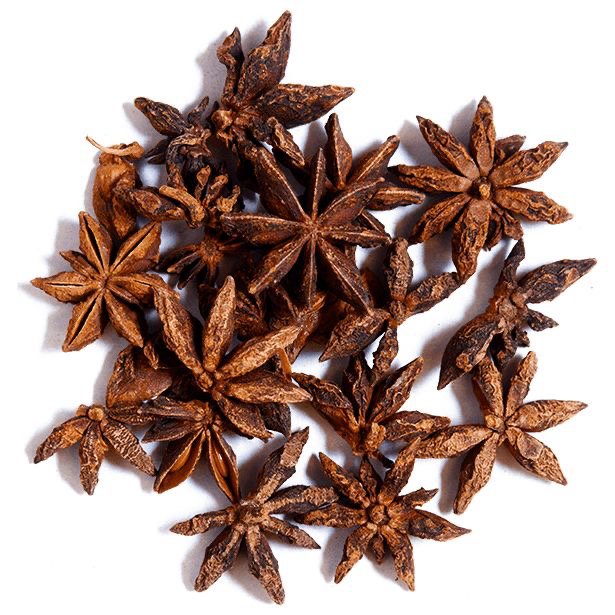 House of Spiritual Roots