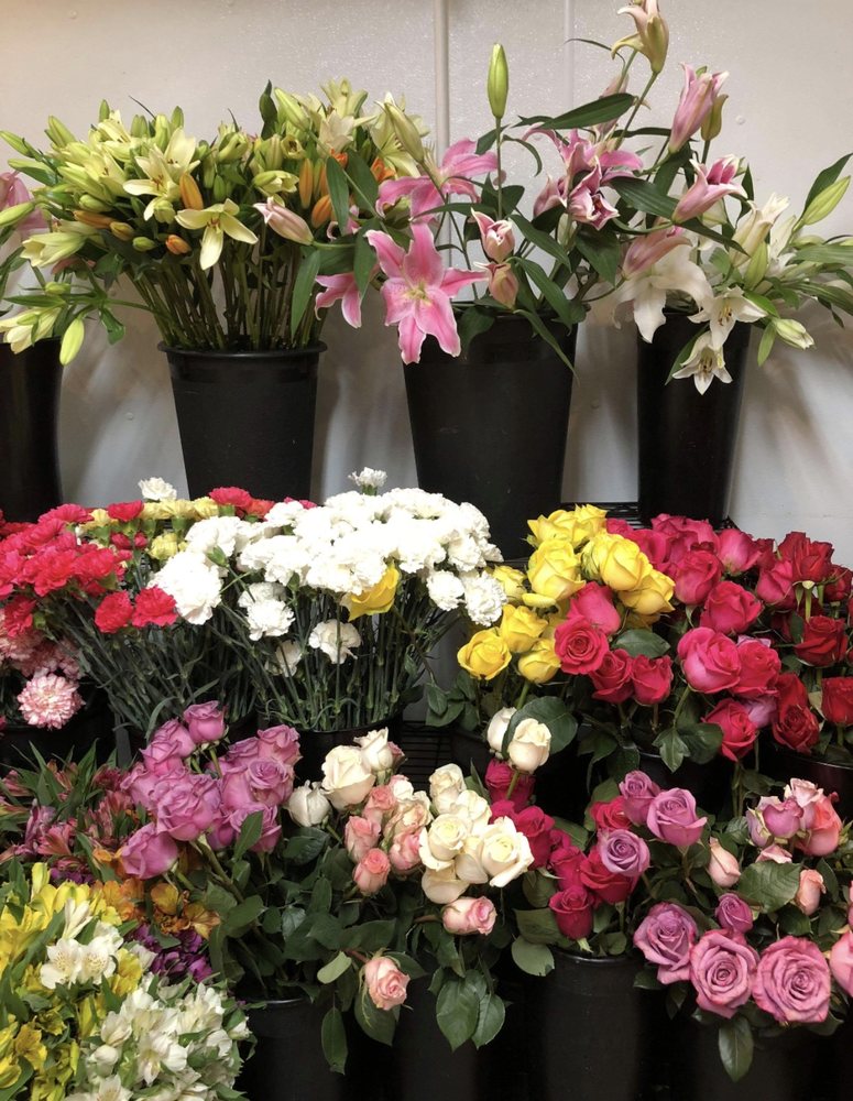 North Park Florist 42 Photos 13 Reviews Florists 1514 Hertel North Park