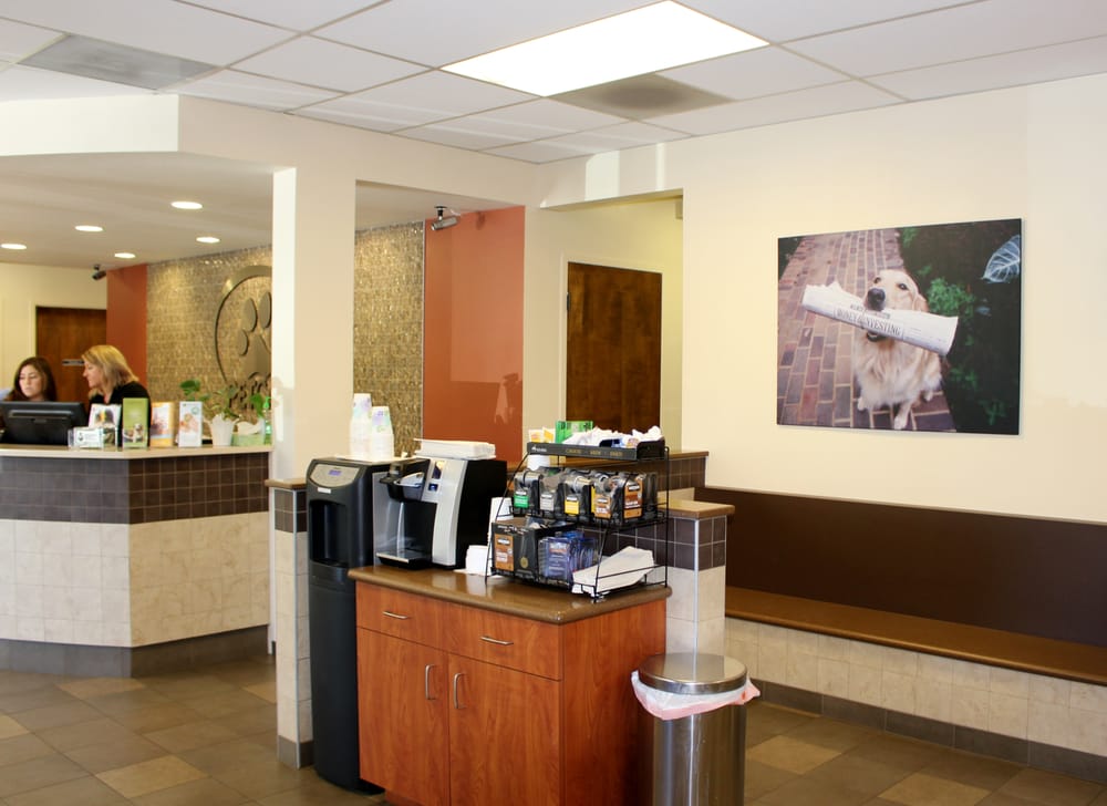 VCA PetCare West Veterinary Hospital 21 Photos & 84 Reviews