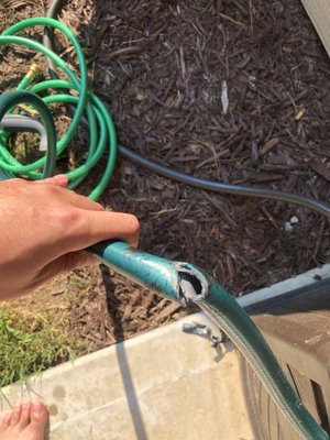Dogwood Landscaping 9944 Dallas Acworth Hwy Ga Landscape Reviews