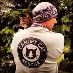 canopy cat rescue pet services woodinville wa phone number yelp