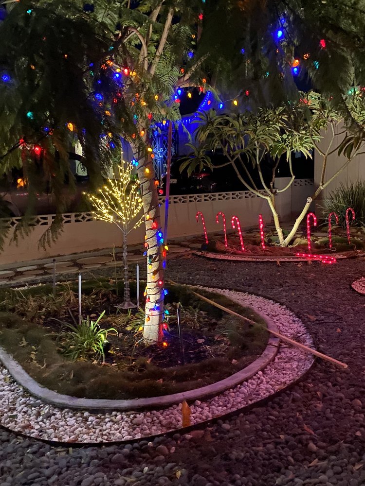 Norton’s Winter Wonderland