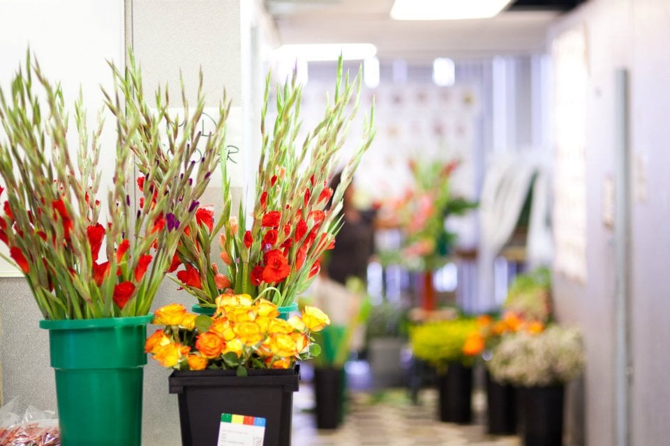 MyFlorist