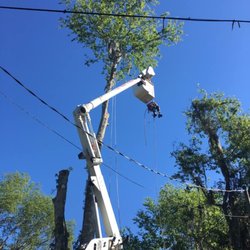 Jon Davis Tree Service Services 18200 Evening Star Ave Photo Of Jon Davis Tree Service Brooksville Fl United States