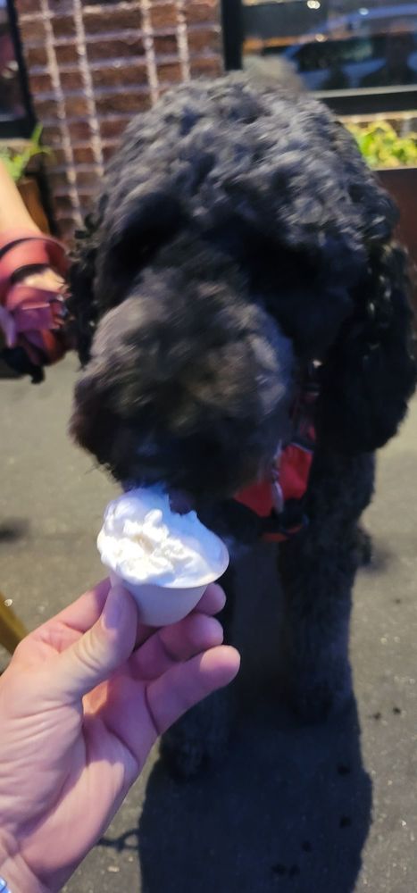 Biltmore Village Coffee & Creamery