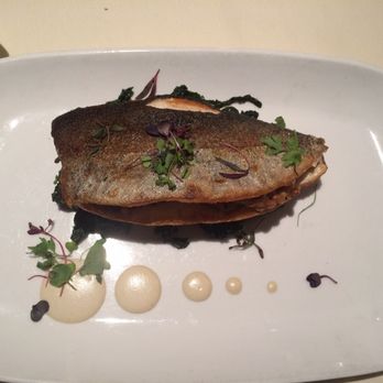 Terra Bistro - 91 Photos 