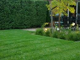 Liberty Lawn Maintenance