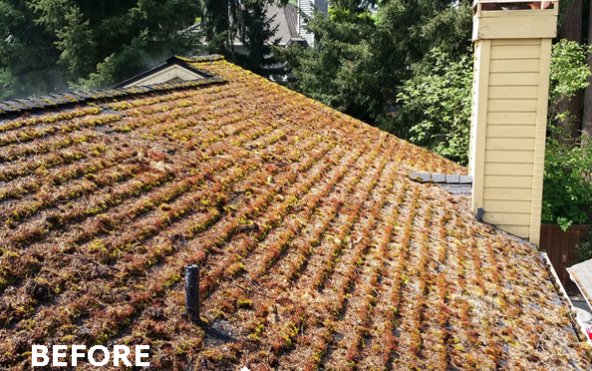 Stewart's Enterprise