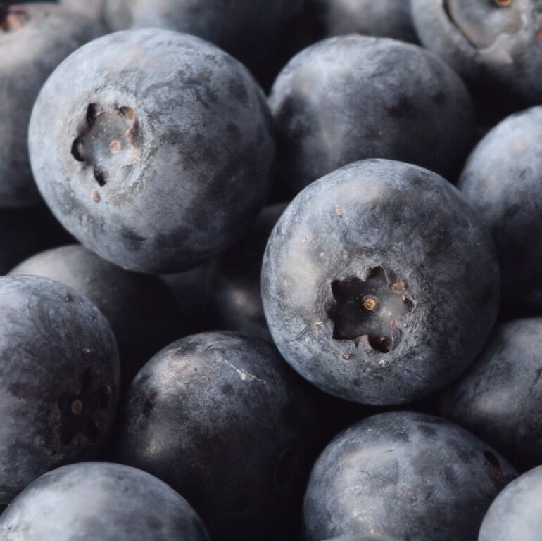 Kernodle's Blueberry Farm