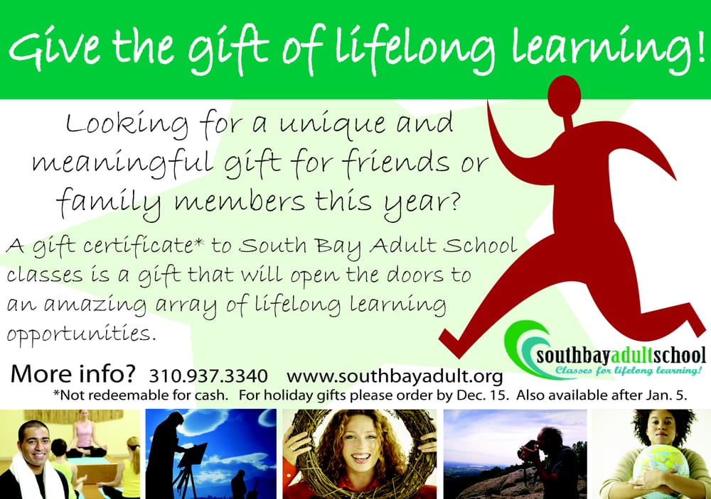 Adult bay school south Apologise, but, adult bay school south opinion you