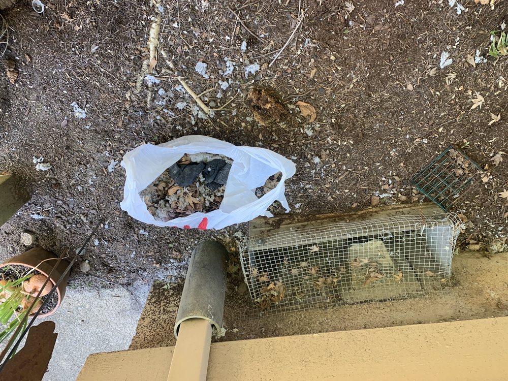 Best Solutions Services