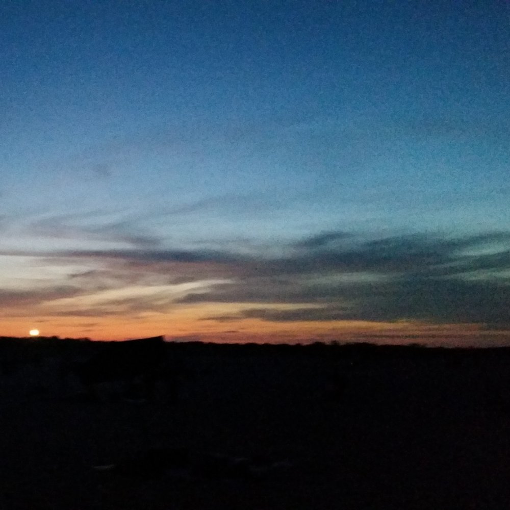 Photos for Gunnison Beach - Yelp