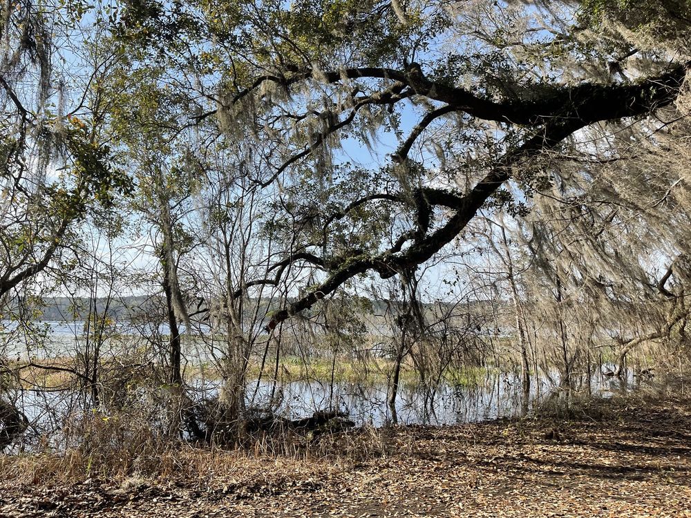 Lafayette Heritage Trail Park Image