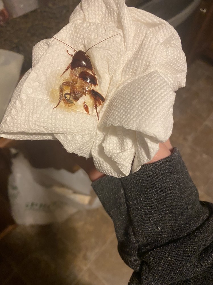 Stone Gables Property Management