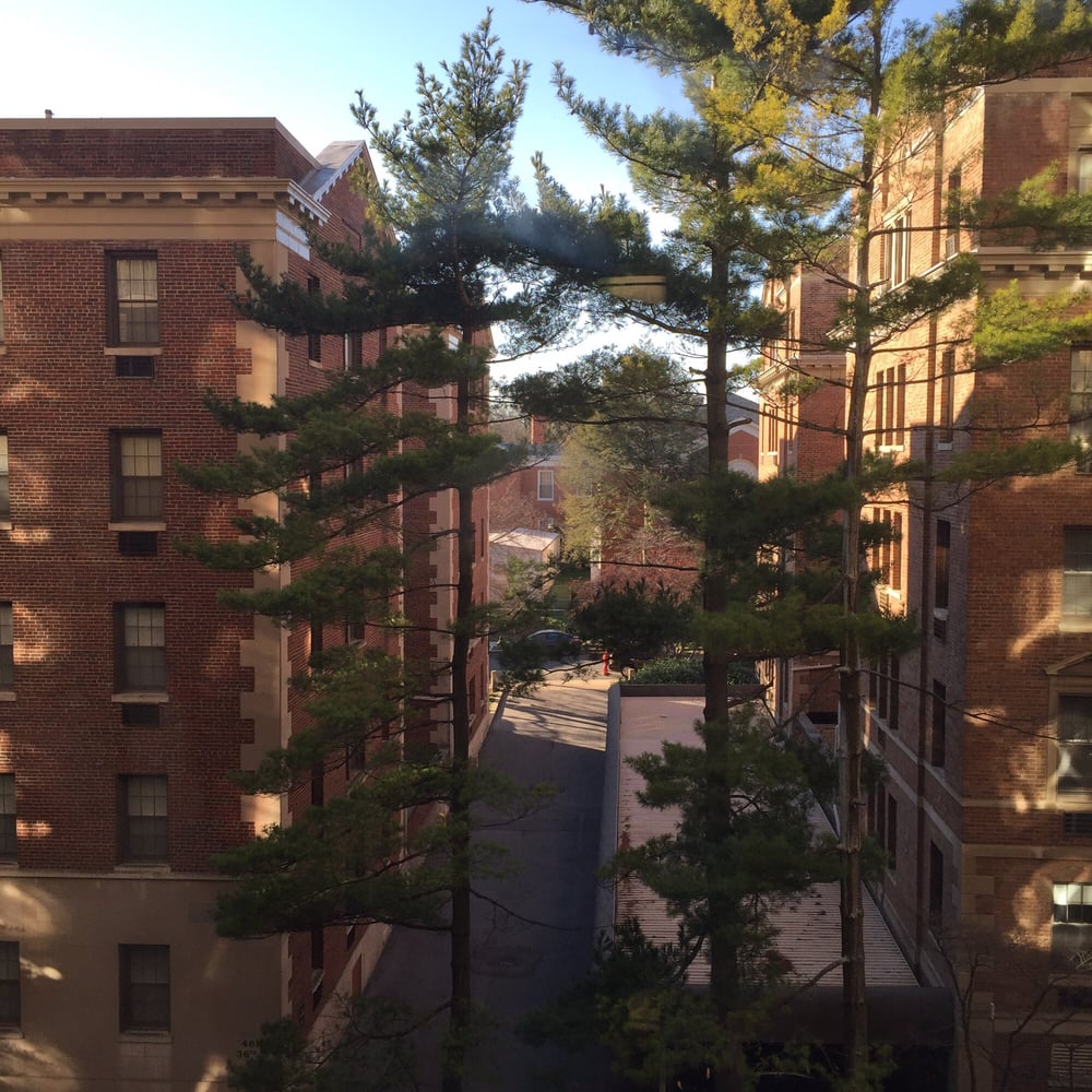 Connecticut Heights Apartments Dc Reviews Connecticut Heights Apartments Dc Reviews