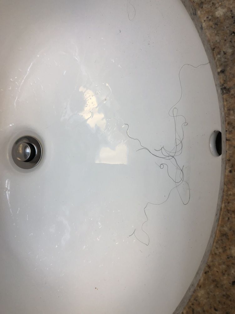 Holiday Inn Express & Suites Kinston