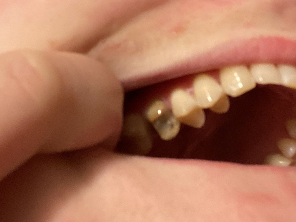 image of business Adkins Family & Cosmetic Dentistry