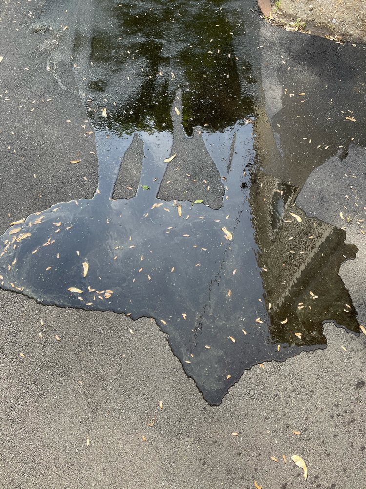 Kogon's Paving