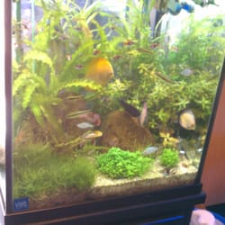 age of aquariums 80 photos 133 reviews aquarium services