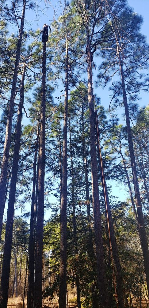 GGG Landscaping and Tree service