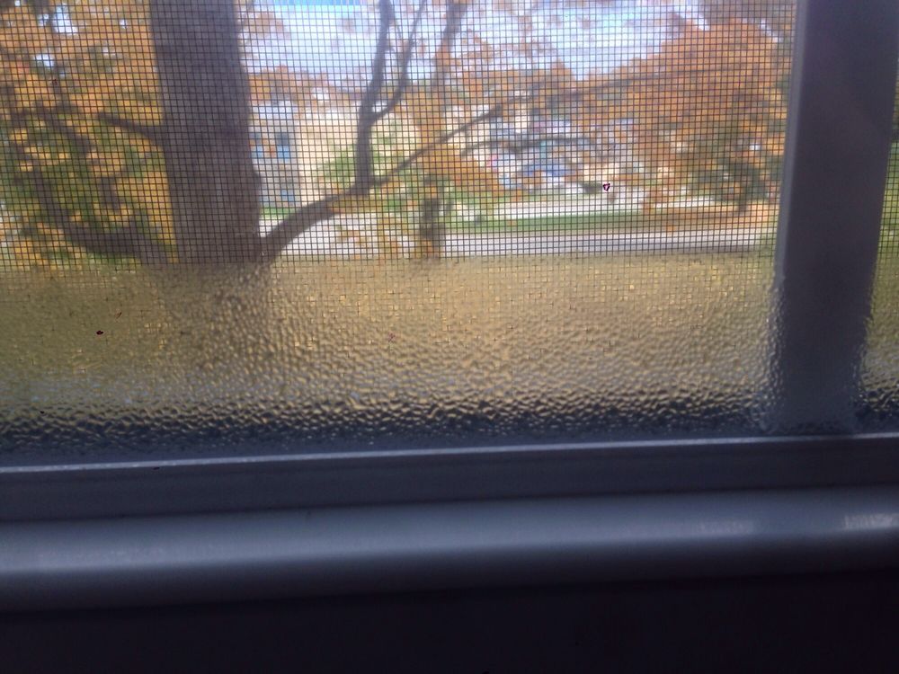 Thermo Twin Windows