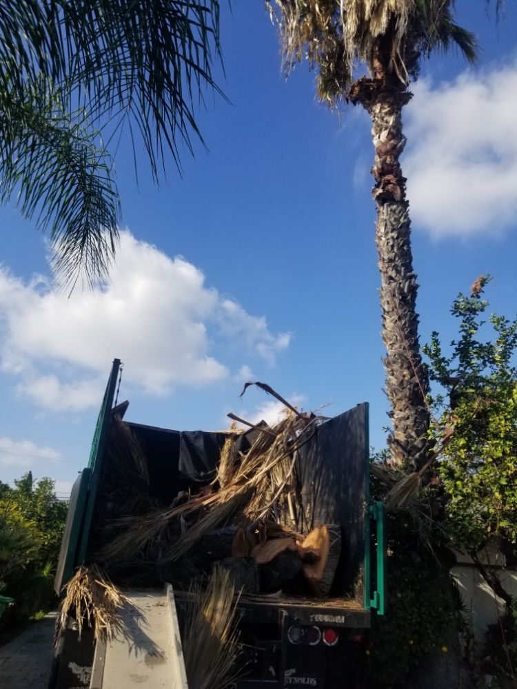 Gabriel Lopez Tree Service