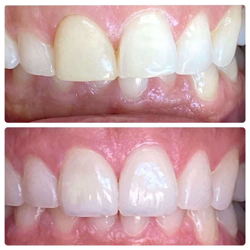 image of business Easy Family Dental: Maryam Navab, DDS