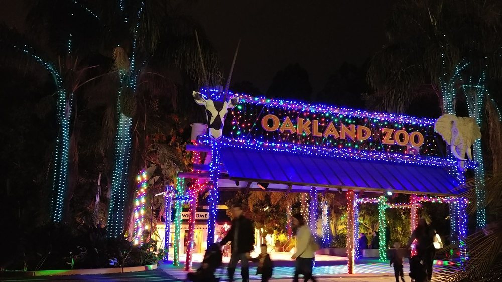 Zoo Lights 47 Photos & 15 Reviews Festivals 10520 Stella St