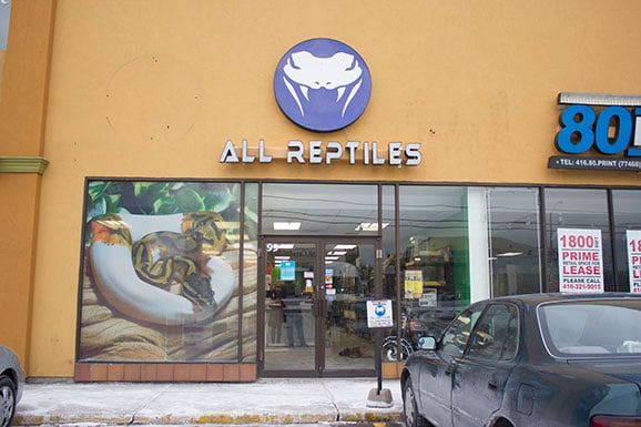 All Reptiles - Pet Stores - Scarborough - Toronto, ON - Reviews