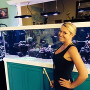 Amazing Aquariums 26 Photos Aquarium Services 2330 S Nova Rd No Job Is Photo Of Amazing Aquariums Daytona Beach Fl United States