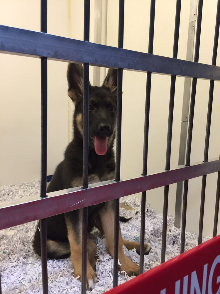 Jack’s Pet Center 12 Photos & 19 Reviews Pet Stores 508 Central