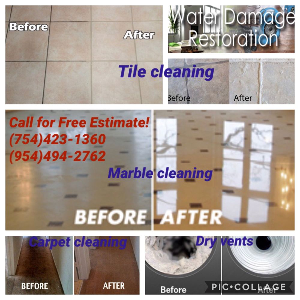 AVI- Professional Carpet Tile Upholstery