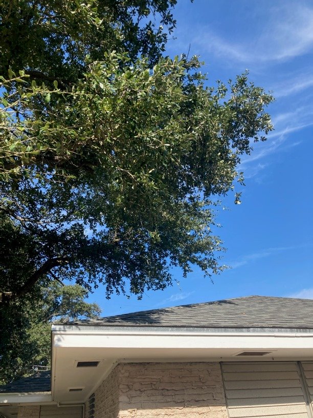 Al's Tree Service