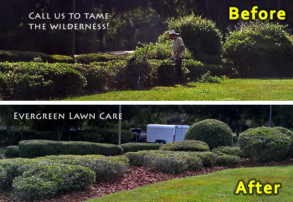 Evergreen Lawn Care