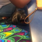 Photo of Boris & Horton - New York, NY, United States