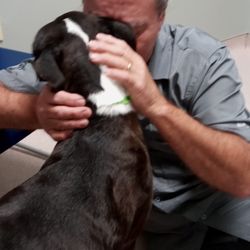 Potranco Veterinary Clinic photo
