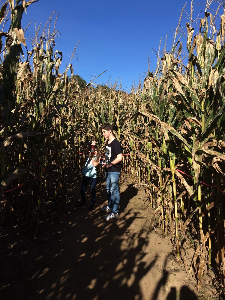 Salisbury Farm 39 Photos & 18 Reviews Pick Your Own Farms 11 Peck