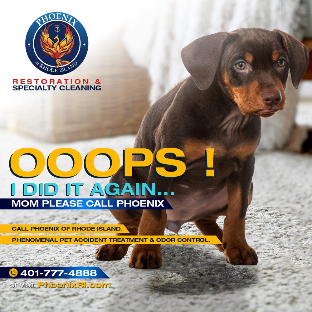 image of business Phoenix of Rhode Island