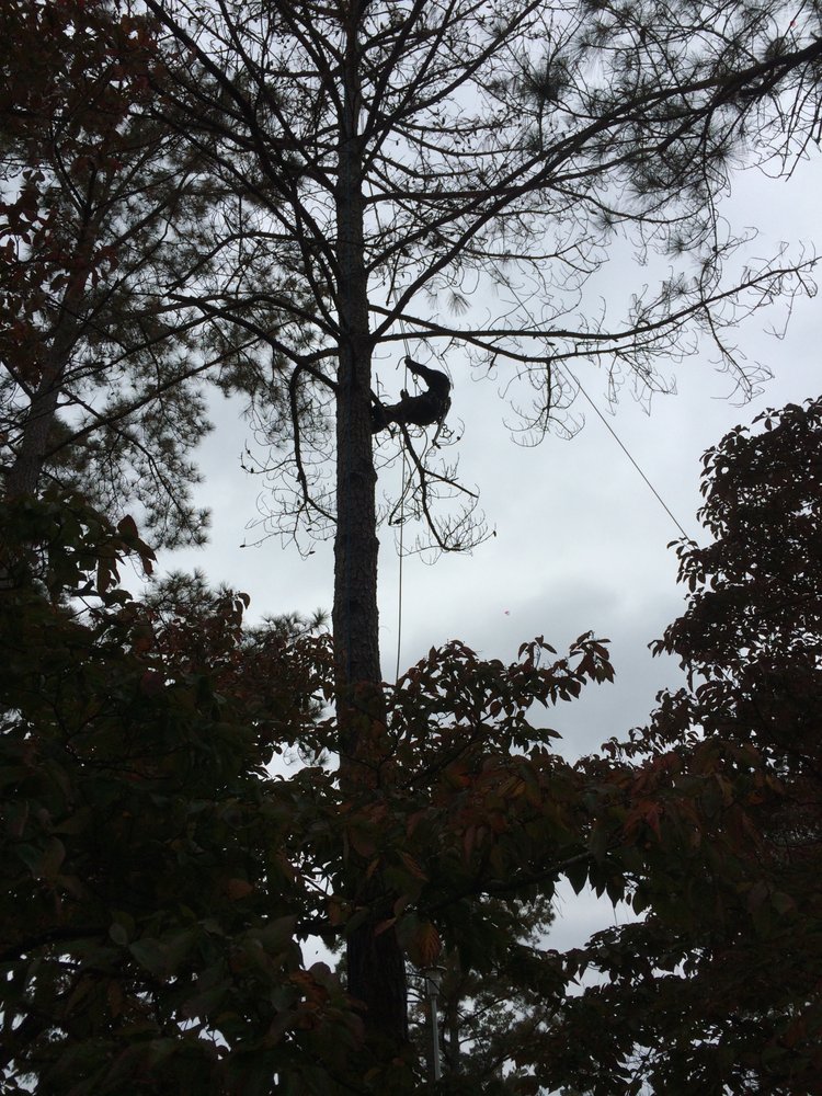 Allen Tree Service