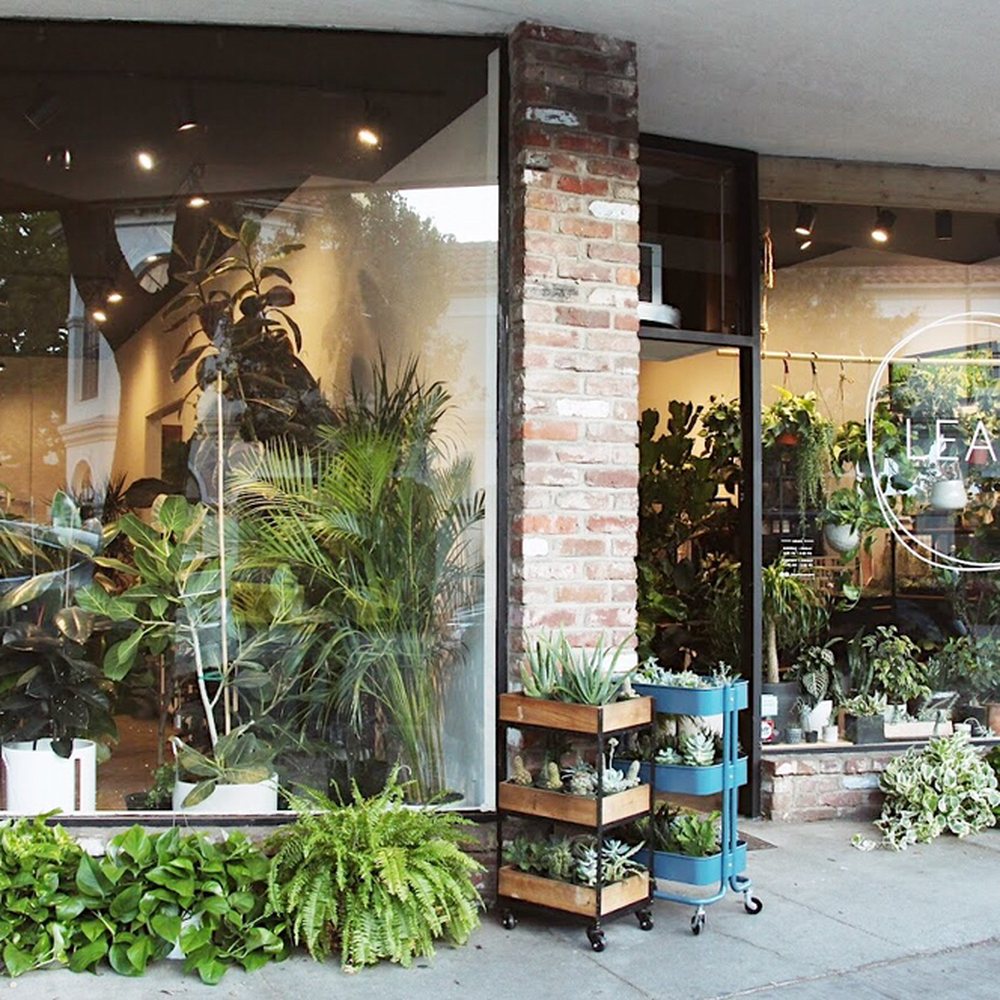 🍲 San Jose Radius 🦈 Last Updated April 2022 Yelp