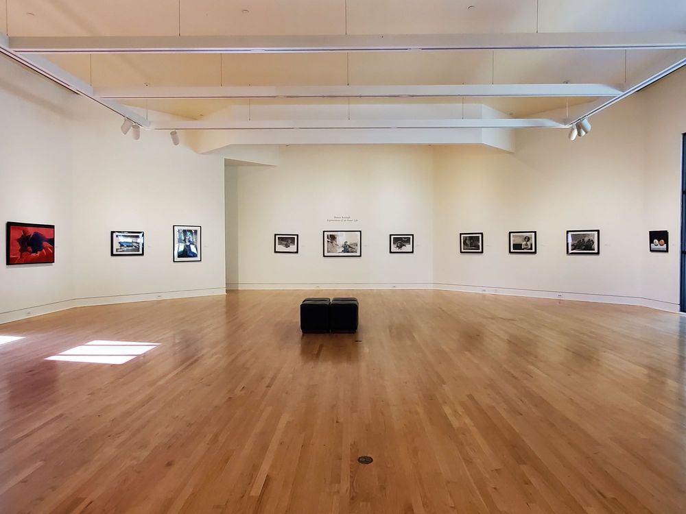 Triton Museum of Art