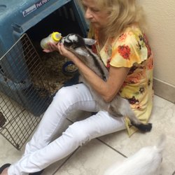 Dodd Animal Hospital photo