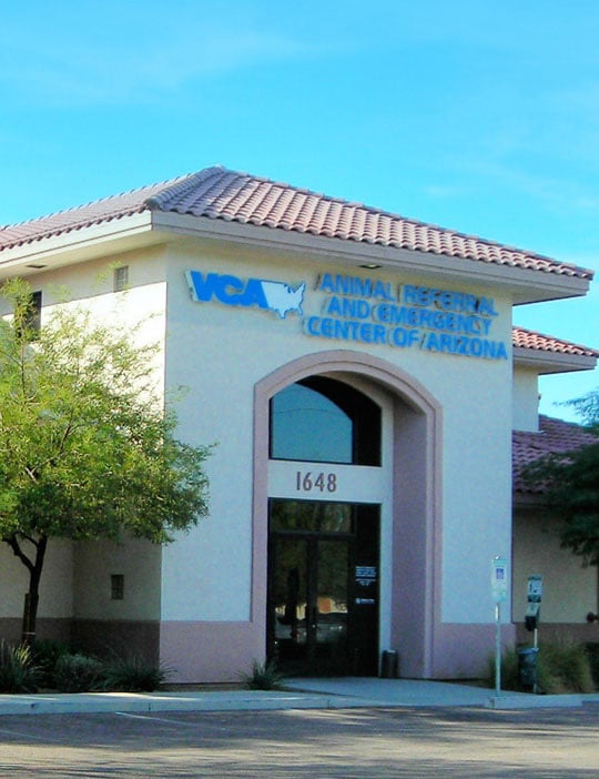 Vca areca