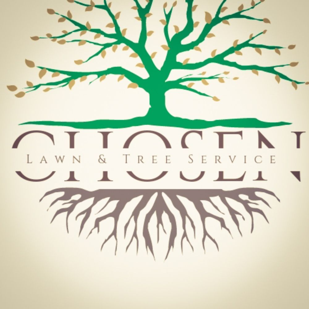 Chosen Lawn & Tree Service